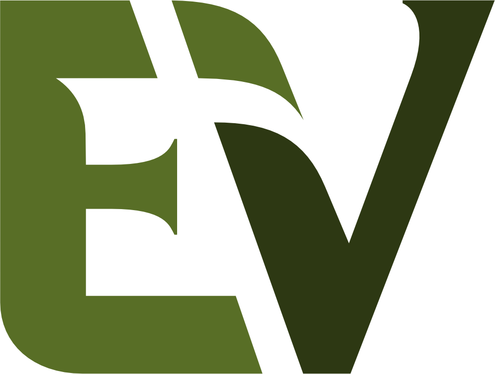 EV Consultorias